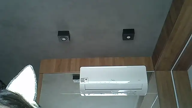 Skinny-Kitten online show from 10/09/25, 12:36