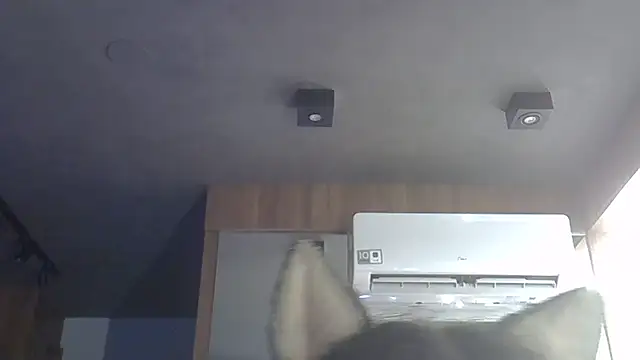 Skinny-Kitten online show from 12/16/25, 05:18