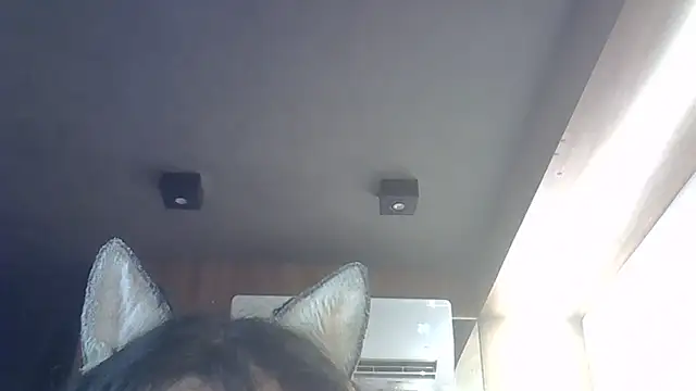 Skinny-Kitten online show from 12/20/25, 11:39