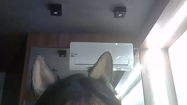 Skinny-Kitten online show from 02/05/26, 09:41