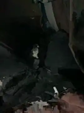 prekumstud online show from 02/20/26, 11:43