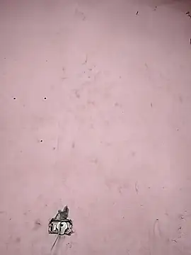 Sliced Digit online show from 03/09/25, 10:41