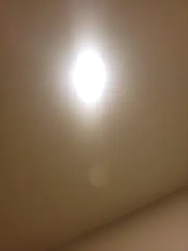 lofibunni online show from 02/14/26, 12:46