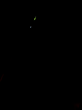 ManBlackhot online show from 01/20/25, 09:22