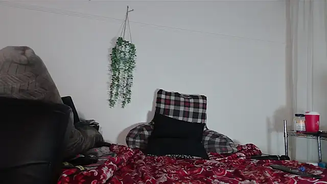 Snapshot of VANESSADDD chatting on 02/14/25, 11:09 VANESSADDD online show from 02/14/25, 11:09