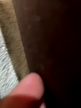 la chiennete online show from 11/18/25, 09:30