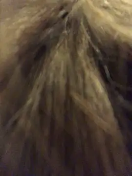  Sweet Love  online show from 03/29/26, 01:00