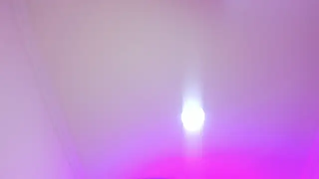 nalalye cruzz  online show from 04/05/26, 03:04