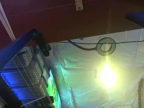 Snapshot of CloudDadddyyy420 chatting on 10/15/25, 10:43 CloudDadddyyy420 online show from 10/15/25, 10:43