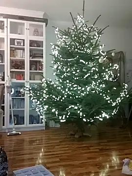 SexyDreamercouple89 online show from 12/07/24, 06:48