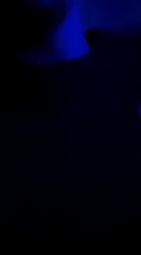 Snapshot of Midwestalpha chatting on 01/06/25, 10:02 Midwestalpha online show from 01/06/25, 10:02