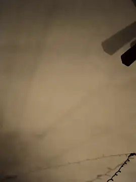 Snapshot of Midwestalpha chatting on 02/21/25, 06:04 Midwestalpha online show from 02/21/25, 06:04