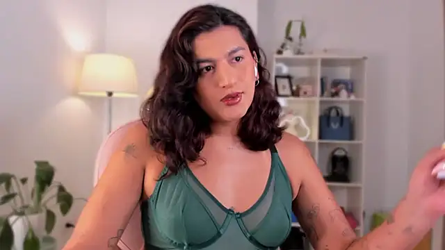 Snapshot of ari_artis chatting on 02/13/25, 01:40 ari artis online show from 02/13/25, 01:40