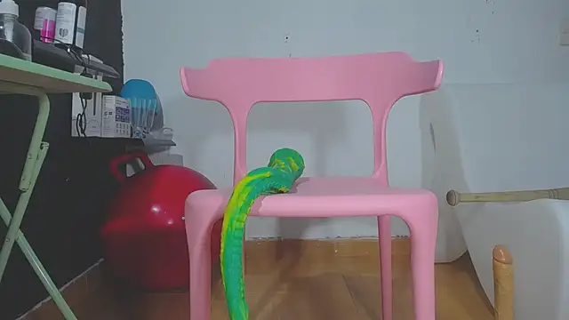 girl squiting online show from 01/30/25, 03:22