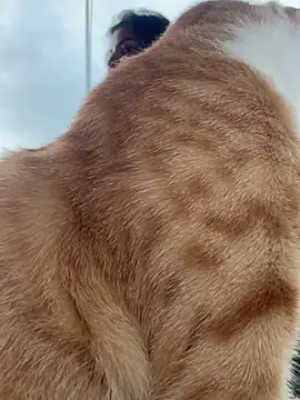 Snapshot of GigiiStone chatting on 03/16/25, 10:20 GigiiStone online show from 03/16/25, 10:20