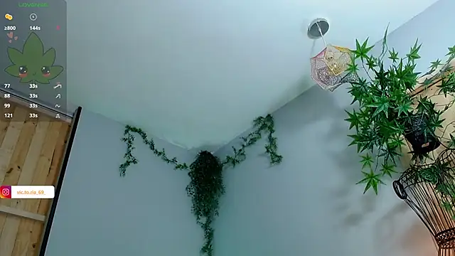 VickyJackson  online show from 02/01/25, 08:26