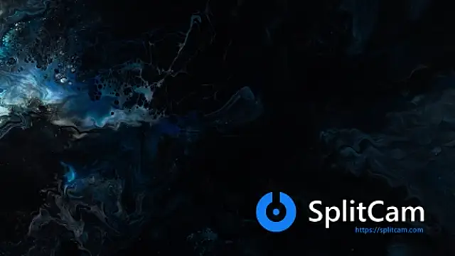 vanered2 online show from 11/24/25, 11:48