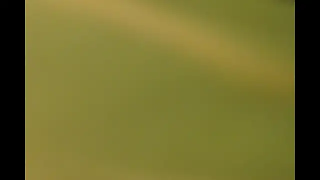 -AyeshaSinghania- online show from 03/26/26, 10:21