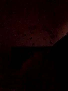 The wickles 4443 online show from 11/22/25, 11:04