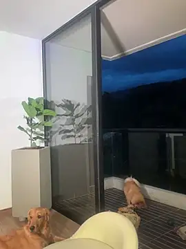 Snapshot of Helenbronwx chatting on 12/22/24, 11:09 Helenbronwx online show from 12/22/24, 11:09