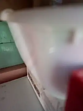 Rayito6969xh online show from 02/05/26, 03:38