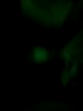 Vuyokaki online show from 11/30/25, 02:37