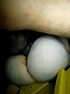 Bigcockmexi13 online show from 03/23/26, 03:05