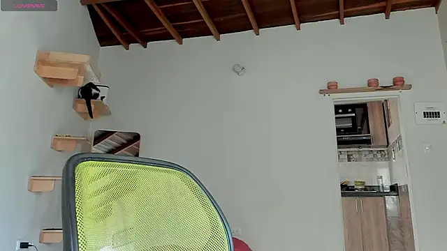 Rainbow leia online show from 10/12/25, 07:02