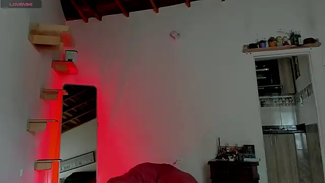 Rainbow leia online show from 04/11/26, 06:45