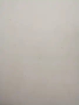 Snapshot of Shuttii_25 chatting on 01/31/25, 06:13 Shuttii 25 online show from 01/31/25, 06:13