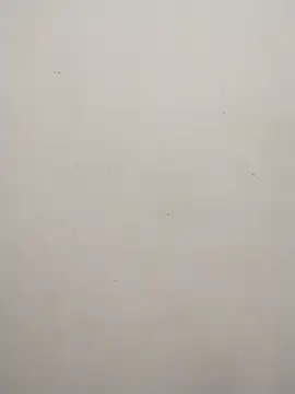 Snapshot of Shuttii_25 chatting on 02/10/25, 09:14 Shuttii 25 online show from 02/10/25, 09:14