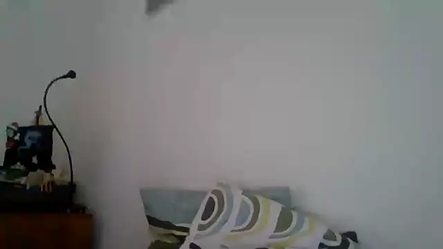 Snapshot of joaodias_97 chatting on 02/17/25, 02:26 joaodias 97 online show from 02/17/25, 02:26