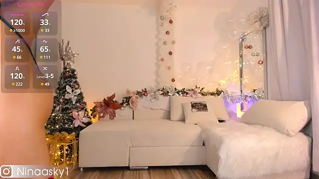 Snapshot of ninaa_sky chatting on 12/30/24, 06:20 ninaa sky online show from 12/30/24, 06:20