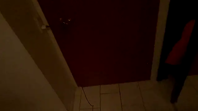 Snapshot of LeviXtreme chatting on 12/15/25, 03:55 LeviXtreme online show from 12/15/25, 03:55