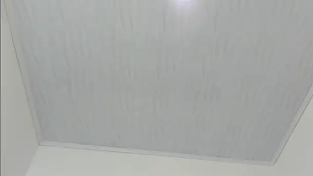 merlyna goldens online show from 11/22/25, 11:31