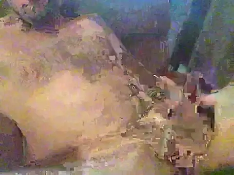 timmy88809 online show from 02/18/26, 04:47