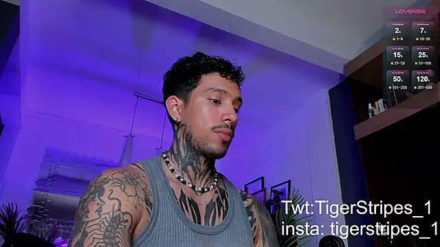 Snapshot of TigerStripes1_ chatting on 03/02/25, 01:47 TigerStripes1 online show from 03/02/25, 01:47