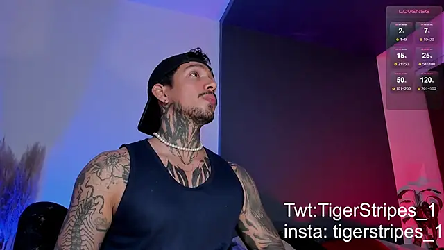 Snapshot of TigerStripes1_ chatting on 03/15/25, 12:25 TigerStripes1 online show from 03/15/25, 12:25