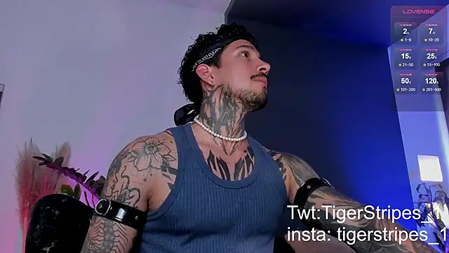 Snapshot of TigerStripes1_ chatting on 03/19/25, 08:54 TigerStripes1 online show from 03/19/25, 08:54