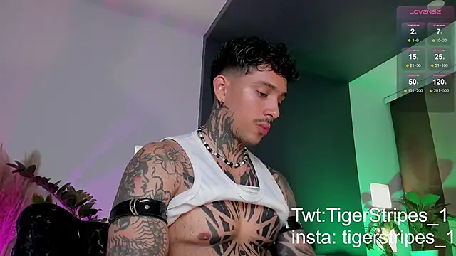 Snapshot of TigerStripes1_ chatting on 03/22/25, 12:39 TigerStripes1 online show from 03/22/25, 12:39