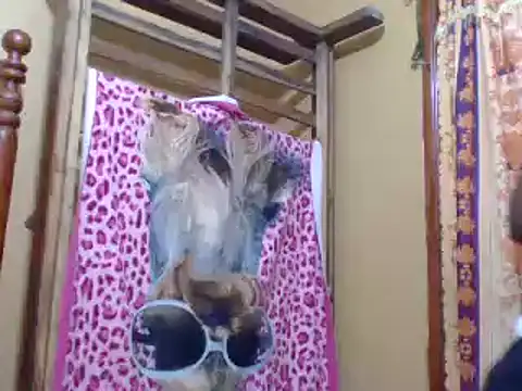 Snapshot of sweetbabra1 chatting on 02/11/25, 05:58 sweetbabra1 online show from 02/11/25, 05:58