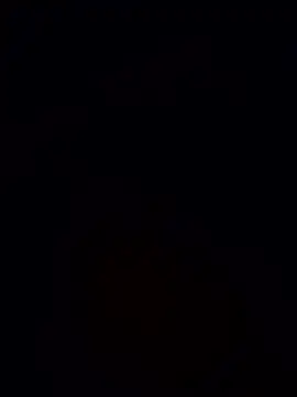 pin jesus online show from 01/12/26, 05:01