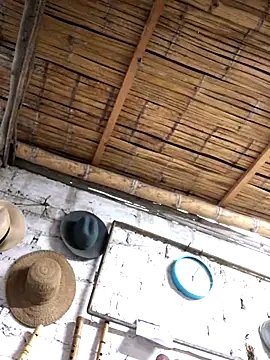 Snapshot of kvr27 chatting on 11/03/25, 11:00 kvr27 online show from 11/03/25, 11:00