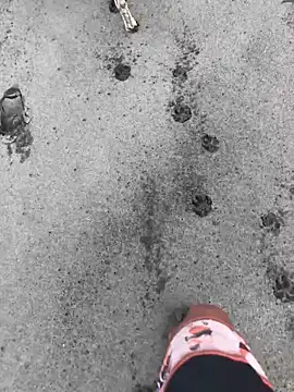 Snapshot of kvr27 chatting on 02/24/26, 01:20 kvr27 online show from 02/24/26, 01:20