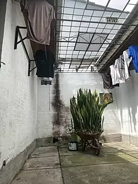 oliver price1 online show from 09/15/25, 03:23