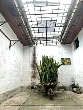 oliver price1 online show from 09/26/25, 07:07