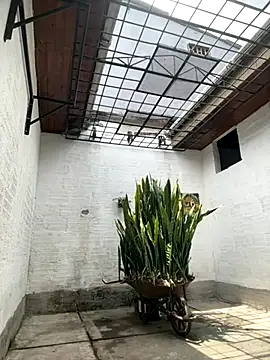 oliver price1 online show from 10/06/25, 04:04