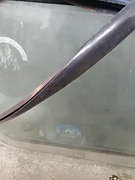 Kolkata   Boy online show from 02/02/25, 08:46