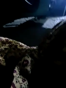 Kolkata   Boy online show from 03/02/25, 02:43